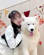 
Ikuta Erina,

