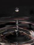 John Febiar's Photo