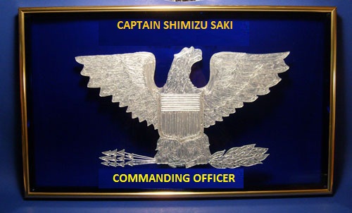 Captain Saki stateroom door