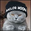 Shurlik's Photo